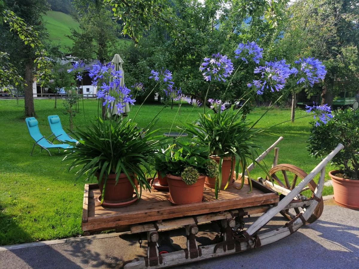 Appartement Gredler Martina Mayrhofen Zewnętrze zdjęcie